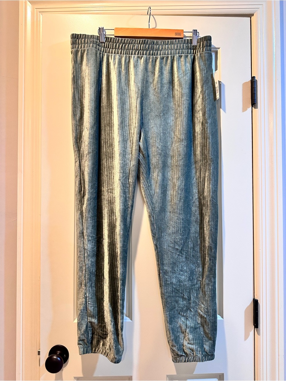 Velvet Jogger Pants in Sage Green